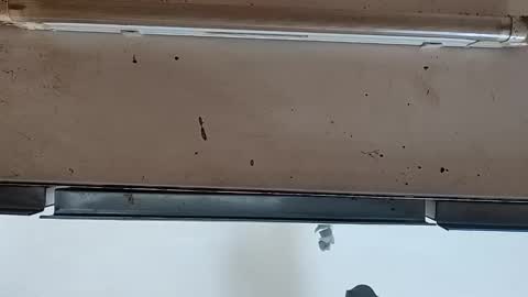 Snapshot of modelo_web18 chatting on 09.24.25 camilo online show from 09.24.25