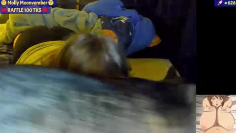 molly_moons online show from 11.17.25