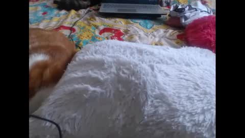 Snapshot of mollyandbra chatting on 02.05.25 Molly And Brad online show from 02.05.25