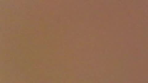 moma1111 online show from 04.11.26