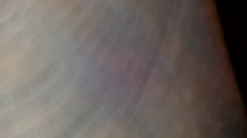 mommabearanpoppabear850 online show from 12.04.25