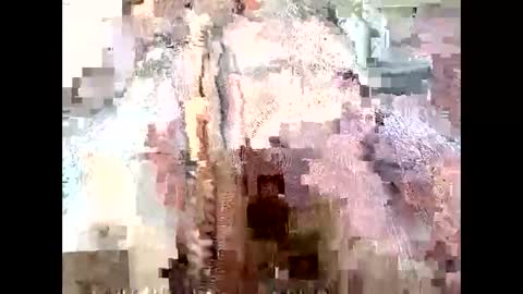 Richard Sheridan online show from 09.28.25