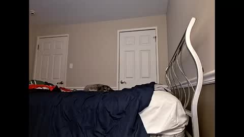 moneyboysaveg584 online show from 04.12.26