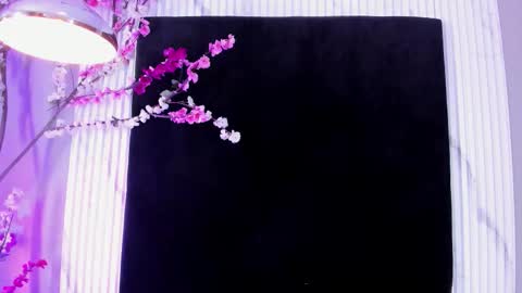 MONIK FOX online show from 11.17.25