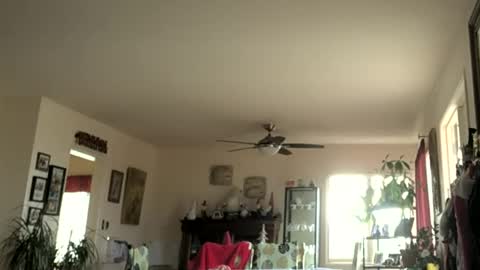 Snapshot of monkeedance chatting on 01.01.25 Monkee Dance online show from 01.01.25