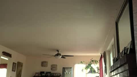 Snapshot of monkeedance chatting on 02.16.25 Monkee Dance online show from 02.16.25