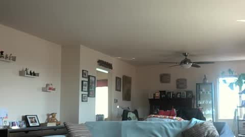 Snapshot of monkeedance chatting on 03.03.25 Monkee Dance online show from 03.03.25