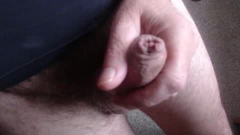 monkeypawpony online show from 11.11.25