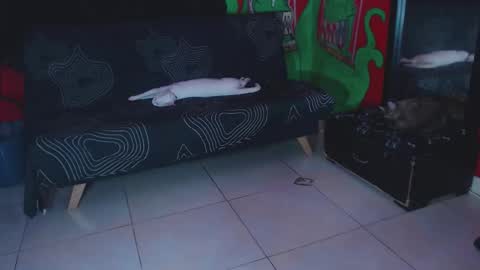 Xavier Rodriguez online show from 11.25.25