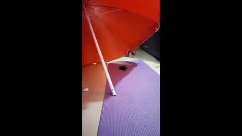 Snapshot of morbucksrica chatting on 02.15.26 morbucksrica online show from 02.15.26