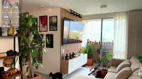   online show from 02.21.26