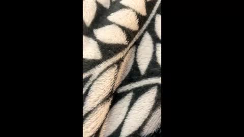 Snapshot of morgzgiorgi chatting on 03.21.26 Morgan Gina online show from 03.21.26