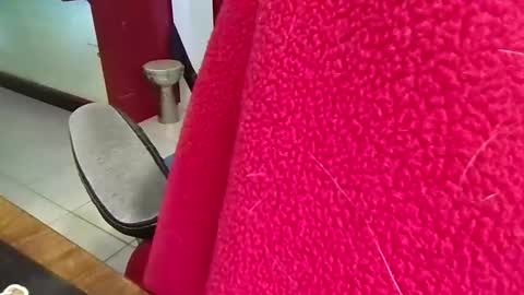 mr_atwood online show from 04.20.26