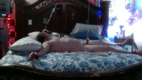 MrandMrsMonkies online show from 01.11.25