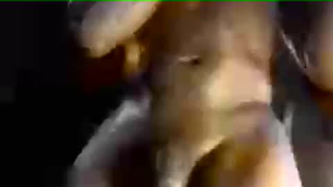 MrBigDiQ1 online show from 06.28.26
