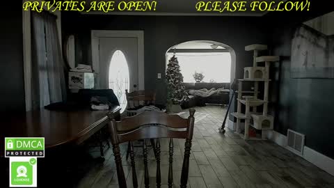 Snapshot of mrbrewscamfam chatting on 12.01.24 MrBrew online show from 12.01.24