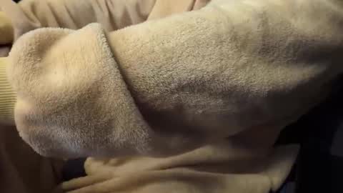 mrdelapampa online show from 11.26.25