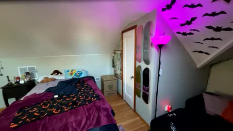 mrfanceypants online show from 11.17.25