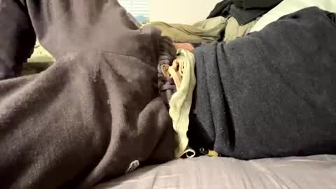 Snapshot of mrfox1q chatting on 12.29.24 thickdickpnw online show from 12.29.24