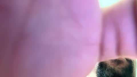 Snapshot of mrfrankfuckforfree chatting on 12.02.24 mrfrankfuckforfree online show from 12.02.24