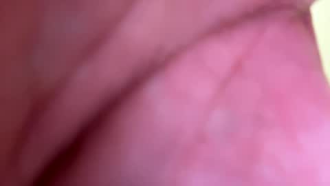 Snapshot of mrfrankfuckforfree chatting on 01.01.25 mrfrankfuckforfree online show from 01.01.25