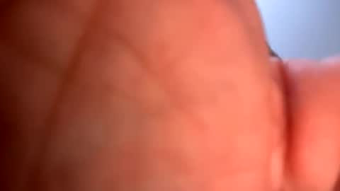 Snapshot of mrfrankfuckforfree chatting on 01.19.25 mrfrankfuckforfree online show from 01.19.25