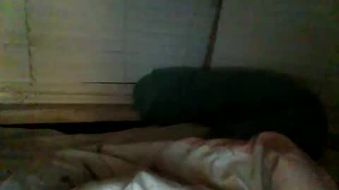Snapshot of mrgray11xxx chatting on 12.20.24 mrgray11xxx aussie online show from 12.20.24