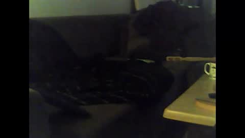 Snapshot of mrhandsomelovee chatting on 01.12.25 Nikola online show from 01.12.25