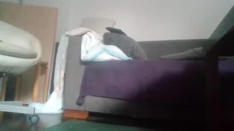 Snapshot of mrhandsomelovee chatting on 10.18.25 Nikola online show from 10.18.25