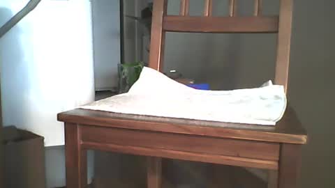 Snapshot of mrroarke chatting on 12.26.24 Longshot online show from 12.26.24