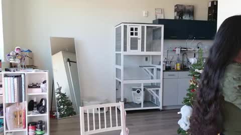 R o r i  SnapChat heyroriv2 wednesday - sunday Noon oclock mountain - 5pm mountain online show from 10.25.25