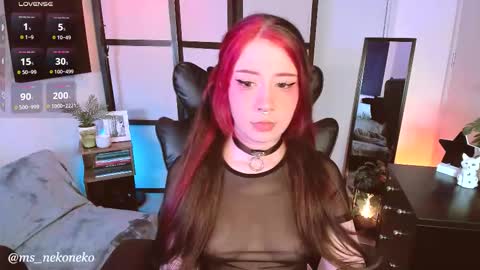      schedule monday tuesday wednesday thursday - sunday  online show from 11.23.25