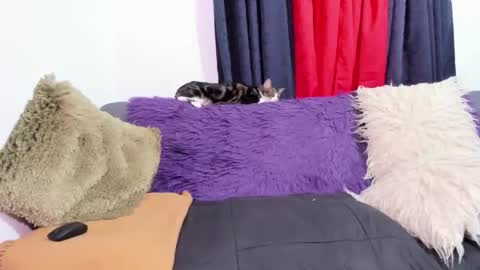 Snapshot of msjustine4u chatting on 10.31.25 Miss Justine online show from 10.31.25