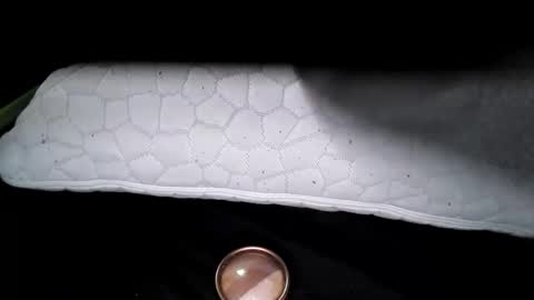 Snapshot of msmomy69 chatting on 11.18.25 msmomy69 online show from 11.18.25