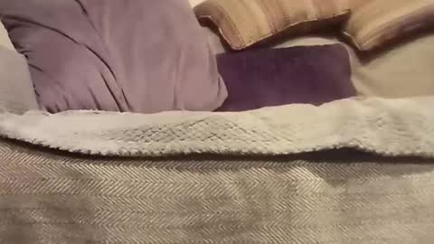 mtx9889 online show from 10.27.25