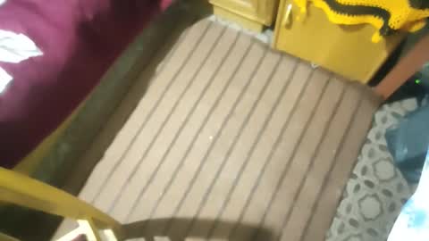 zenon online show from 10.26.25