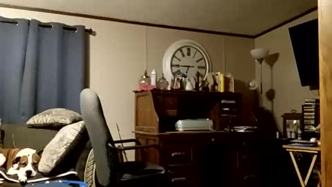 muddflapz online show from 11.22.25