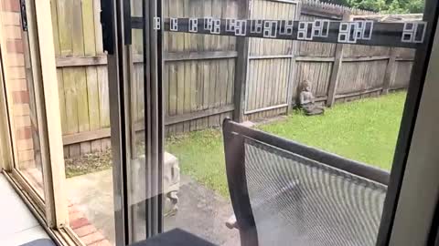 mudjimba online show from 12.17.24