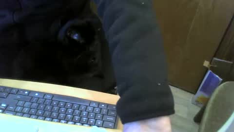 muller520 online show from 01.22.25