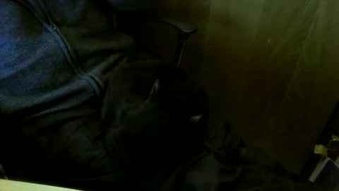 Snapshot of muller520 chatting on 03.18.26 muller520 online show from 03.18.26