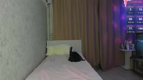 musemelody online show from 01.15.26