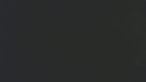 musicman2021 online show from 03.02.25