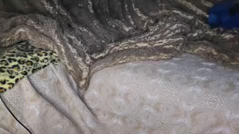 Muzzy online show from 04.18.26