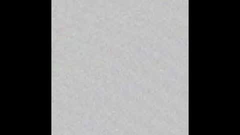 ghost mantis online show from 03.02.25