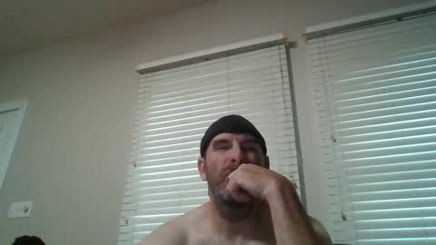 vienna online show from 11.24.25