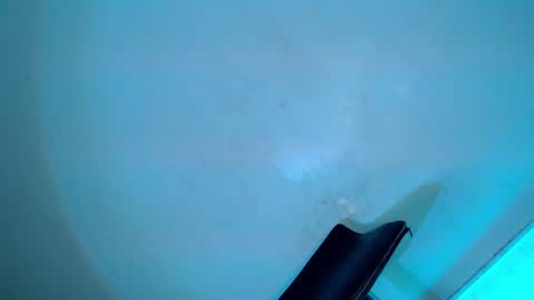 Serena online show from 02.08.25