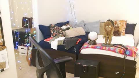 Snapshot of mycock4u247 chatting on 02.14.25 LA MARIPOSA DE MARICOPA online show from 02.14.25