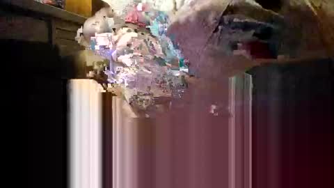 Mmmm Feels Great online show from 12.04.25