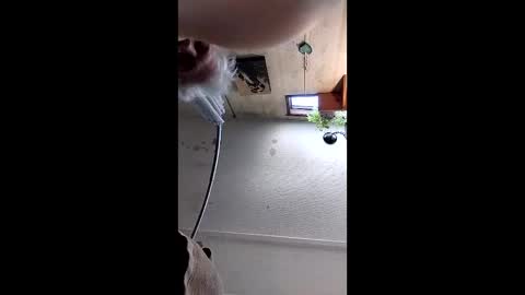 Snapshot of mynutts chatting on 12.16.25 Mynutts online show from 12.16.25