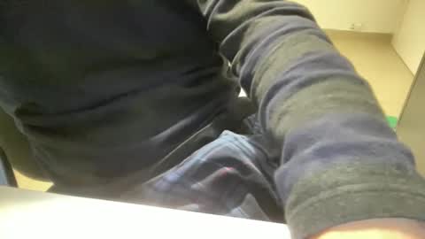 myStallion online show from 02.11.26